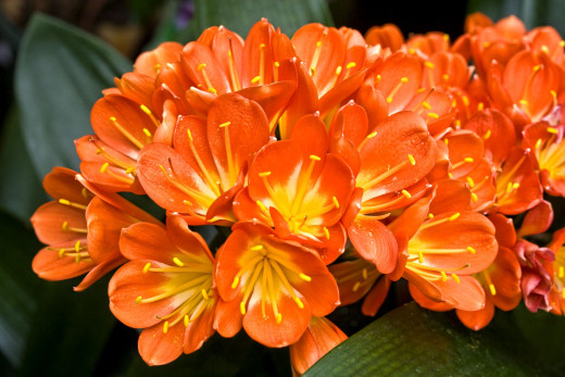 648961 (a): :2800x1867
